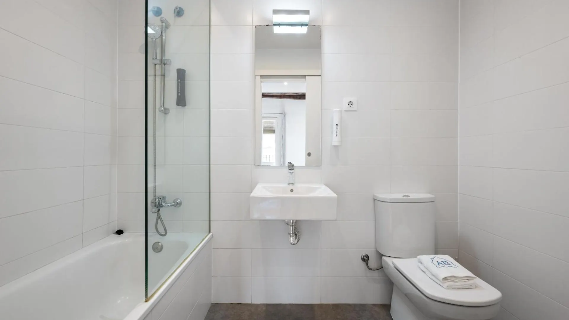 Sant Domenec Apartment Barcelona