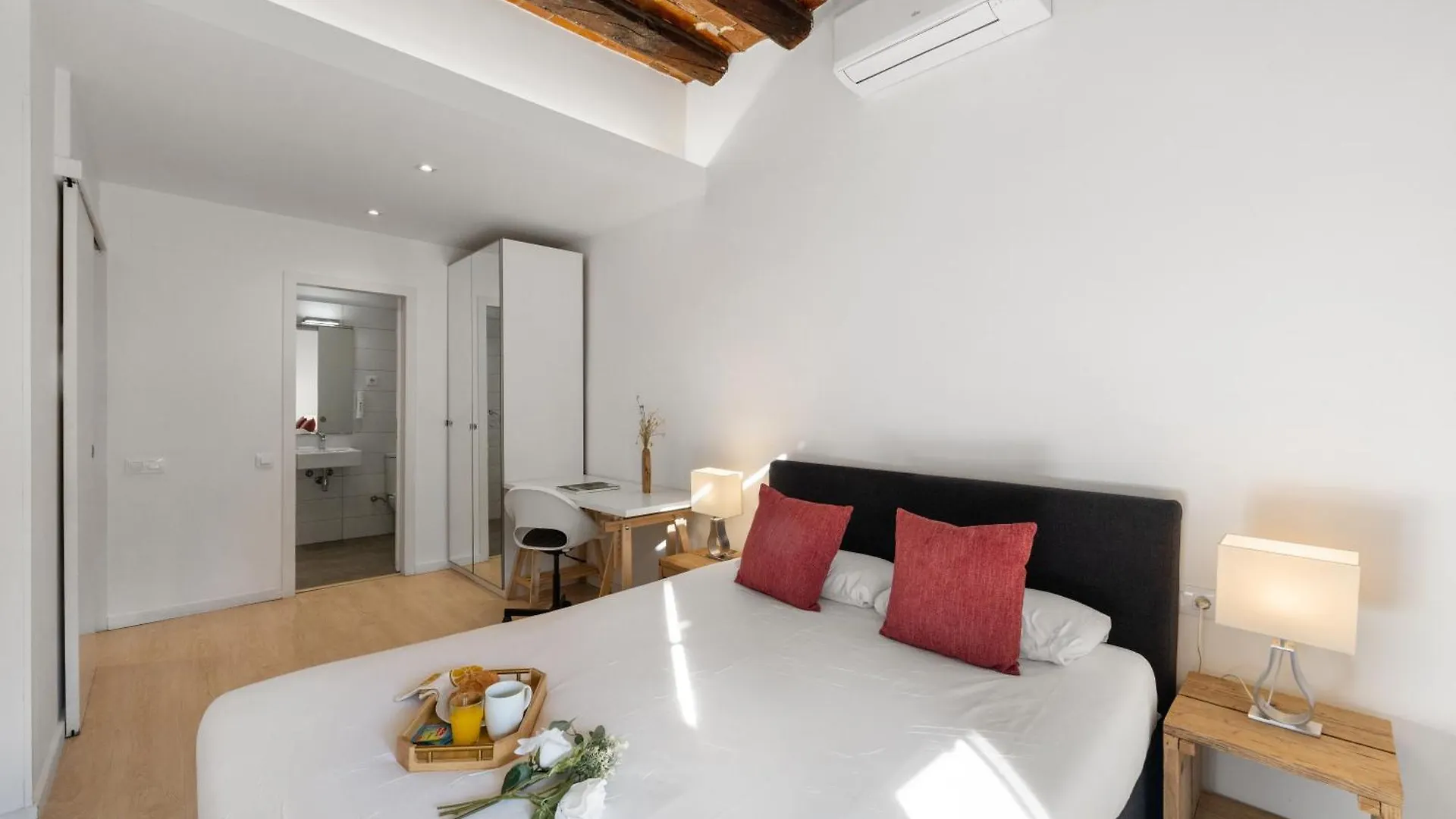 Sant Domenec Apartment Barcelona